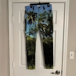 Hudson Jeans Multicolor Skinny Jeans